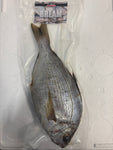 Sea Bream 1 Per Bag