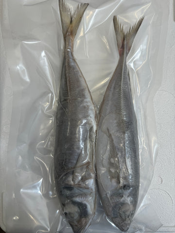 Scads (Horse Mackerel) XL 2 Per Bag