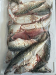 Whole Mackerel Chum 2kg Bag