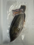 Wrasse - 1 per bag