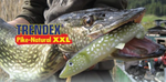 Trendex XXL Jack Pike 22cm Lure